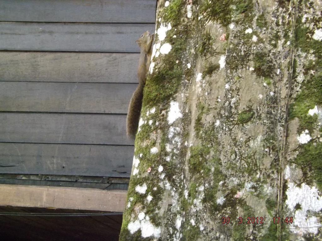 Pousada Quintal Das Pedras Penedo  Zewnętrze zdjęcie